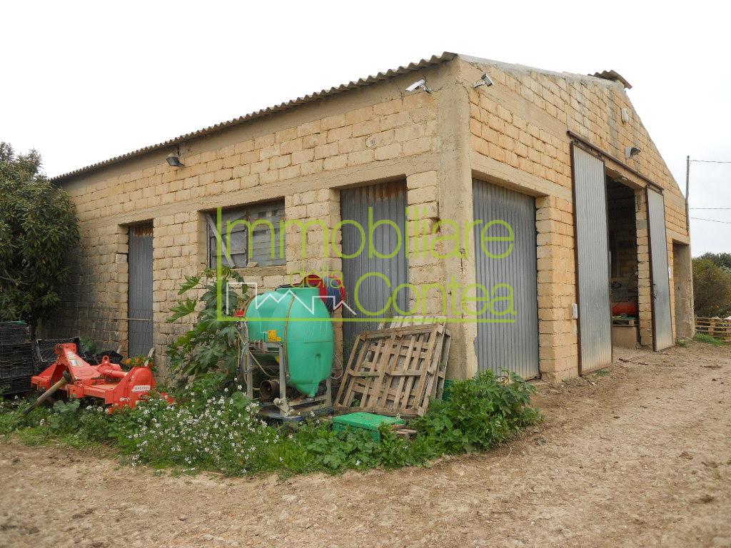 TENUTA AGRICOLA RIF 583 - Immagine# 1