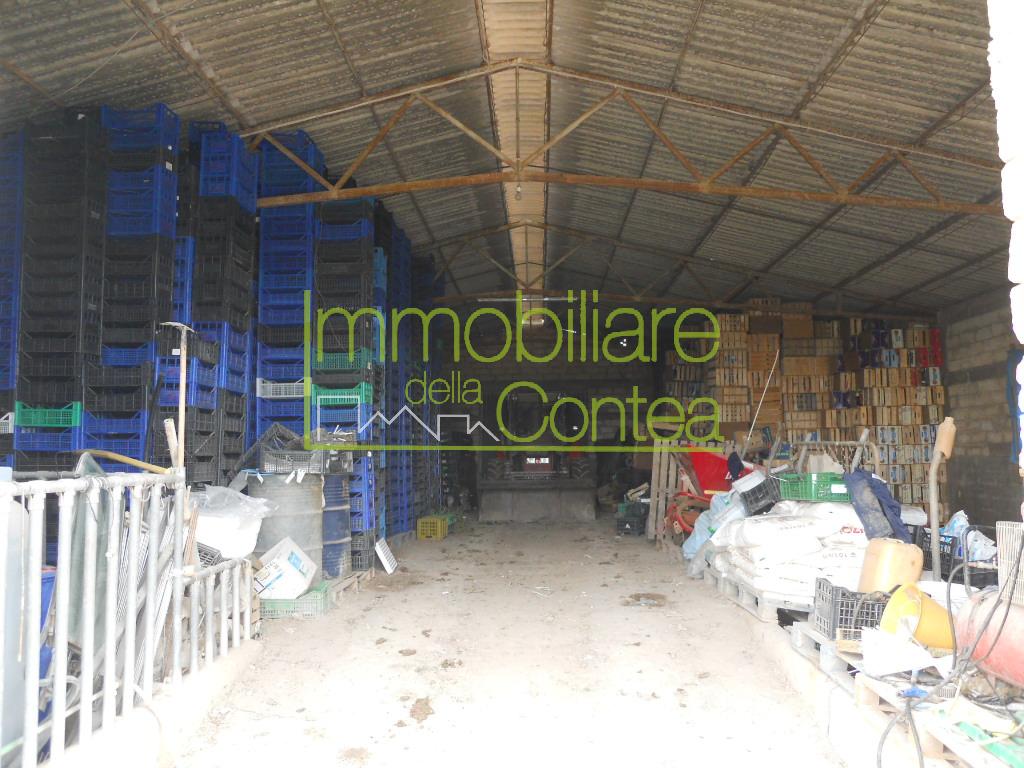 TENUTA AGRICOLA RIF 583 - Immagine# 5