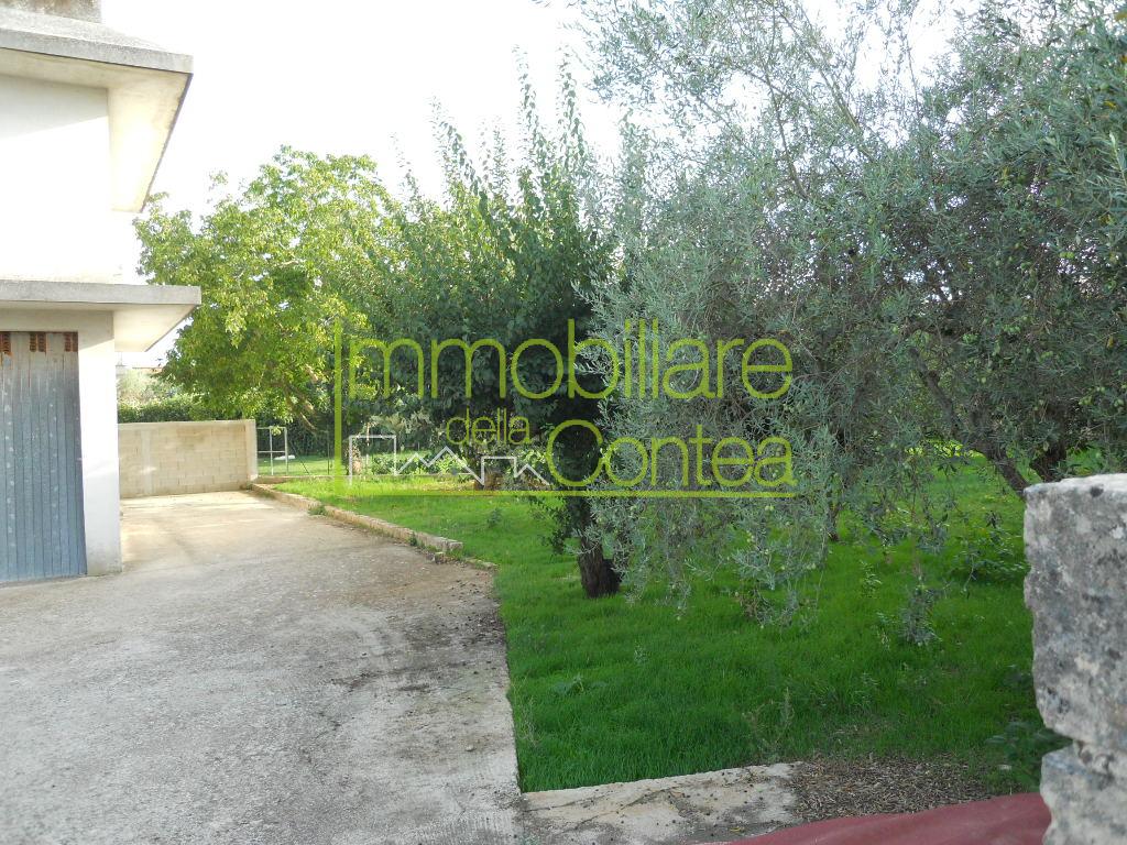 RUSTICO PANORAMICO RIF. 558 - Immagine# 1