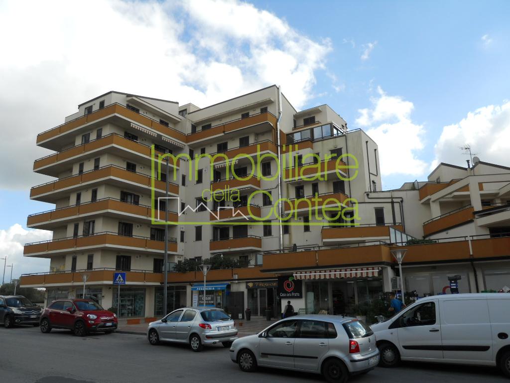 GRANDE E LUMINOSO APPARTAMENTO RIF. 618 - Immagine# 1