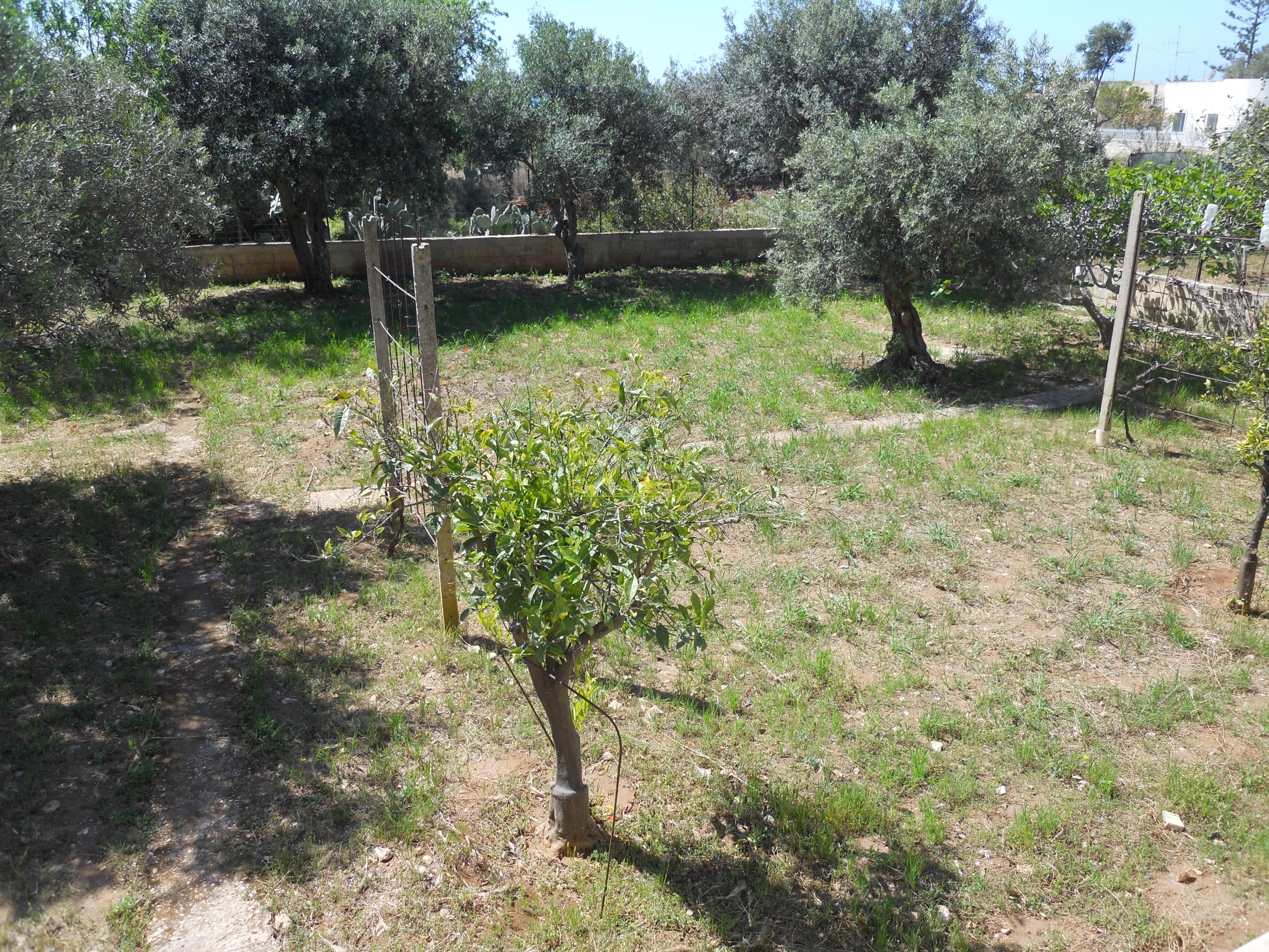 VILLETTA A MARINA DI MODICA CON AMPIO TERRENO RIF 648 - Immagine# 1