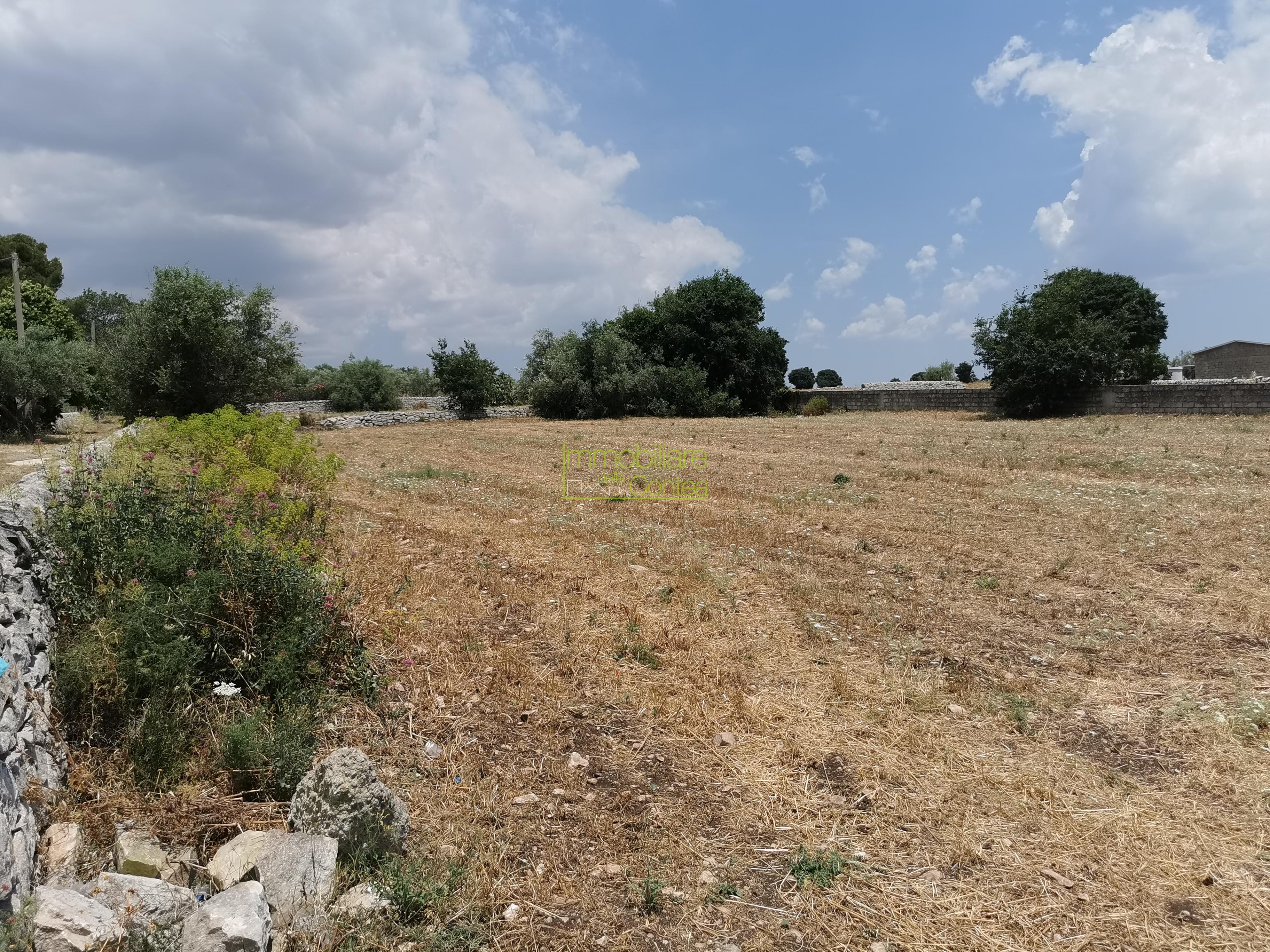 TERRENO AGRICOLO - Immagine# 1