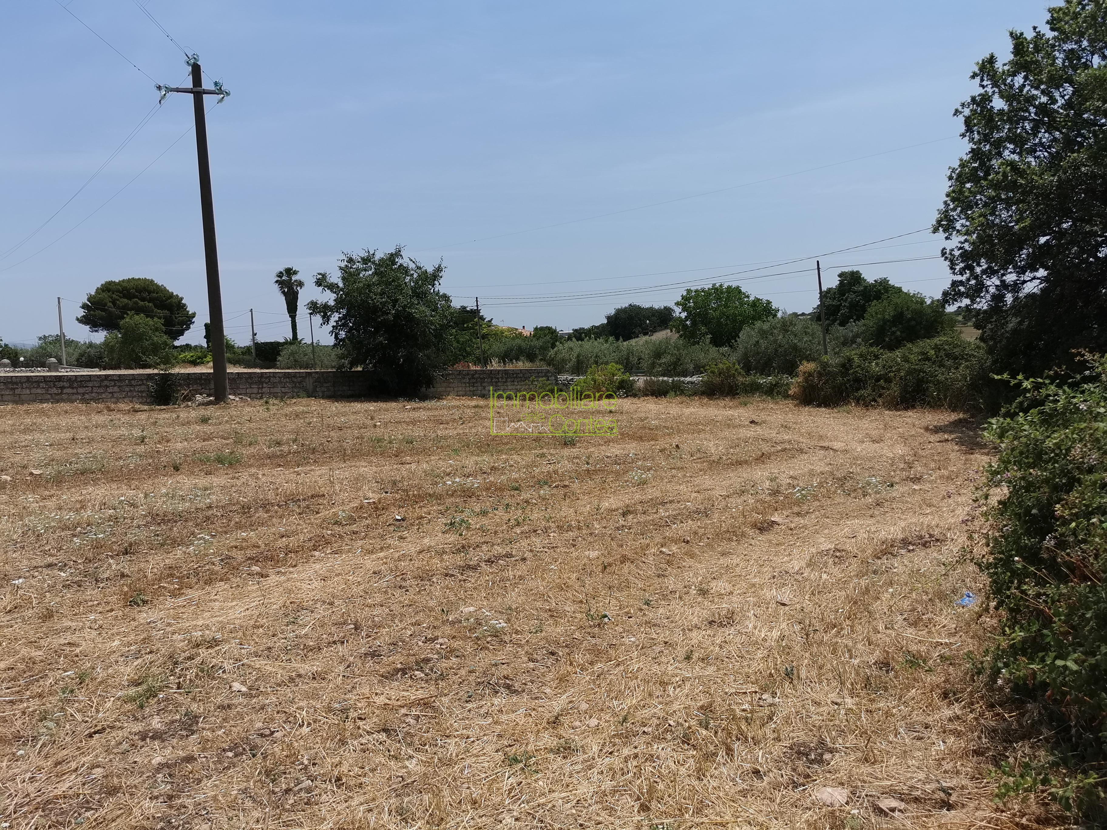 TERRENO AGRICOLO - Immagine# 1