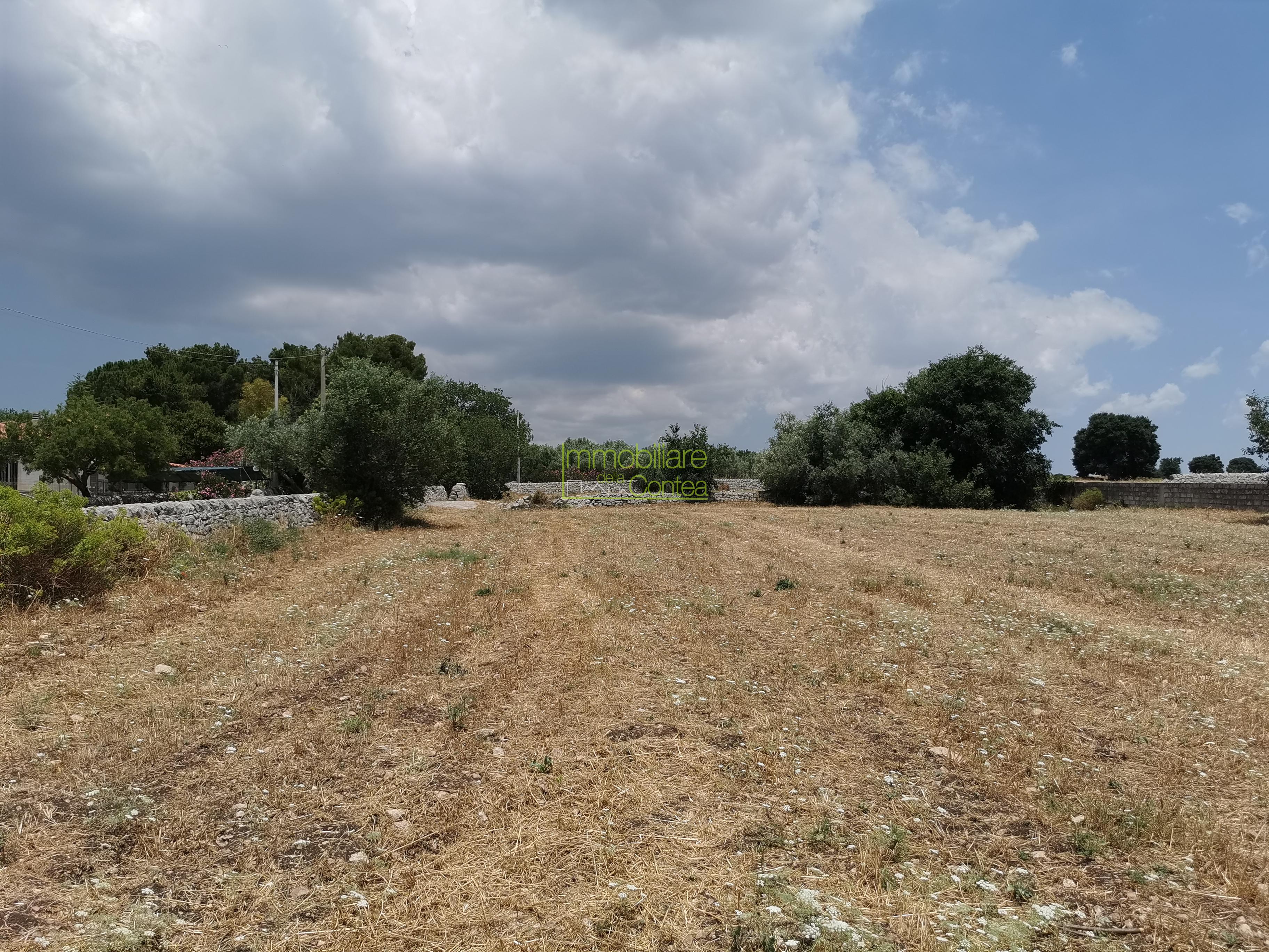 TERRENO AGRICOLO - Immagine# 1