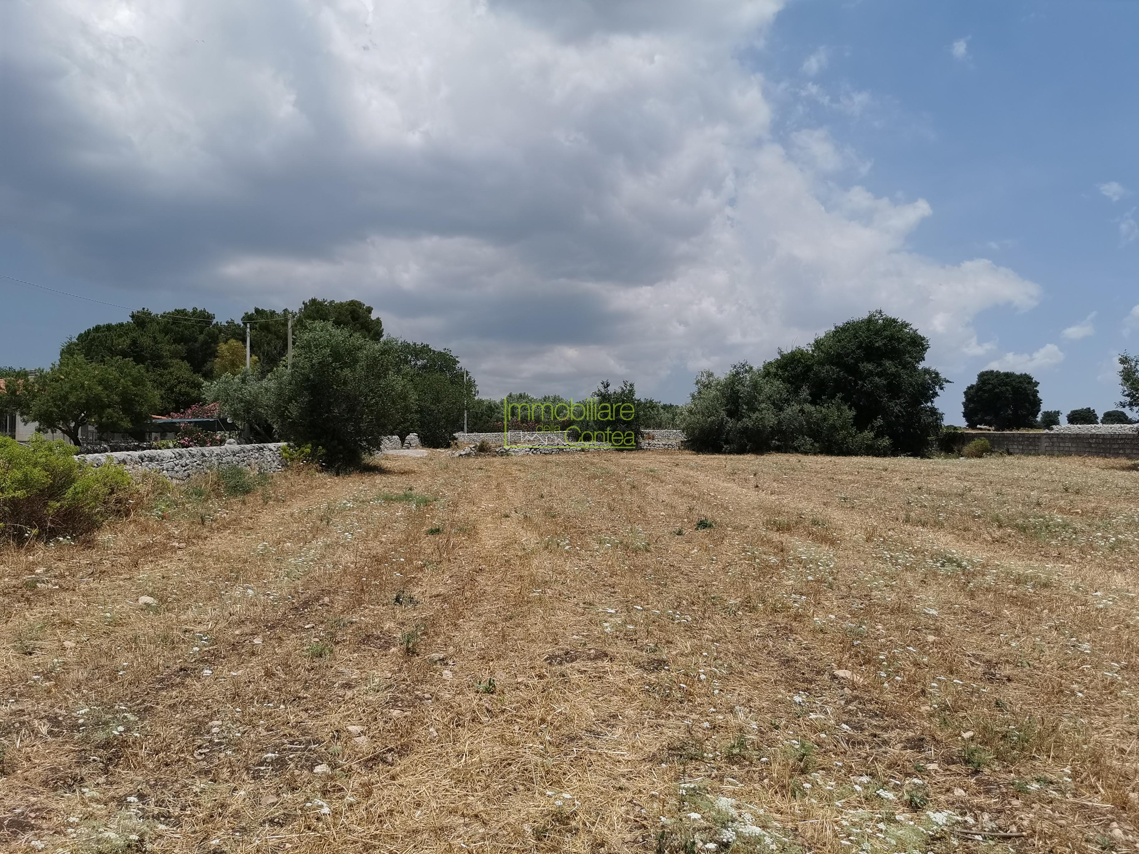 TERRENO AGRICOLO - Immagine# 4