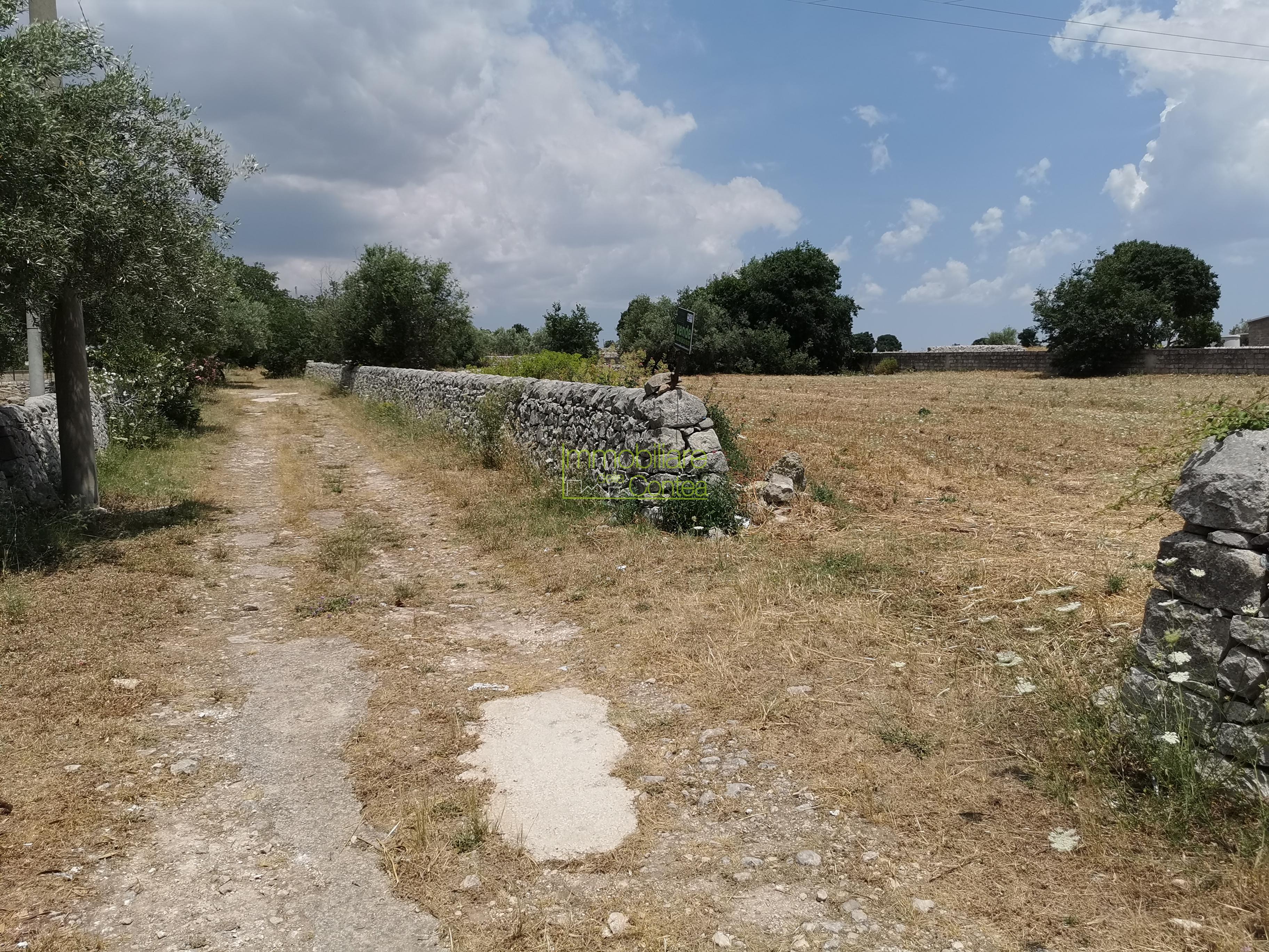 TERRENO AGRICOLO - Immagine# 1