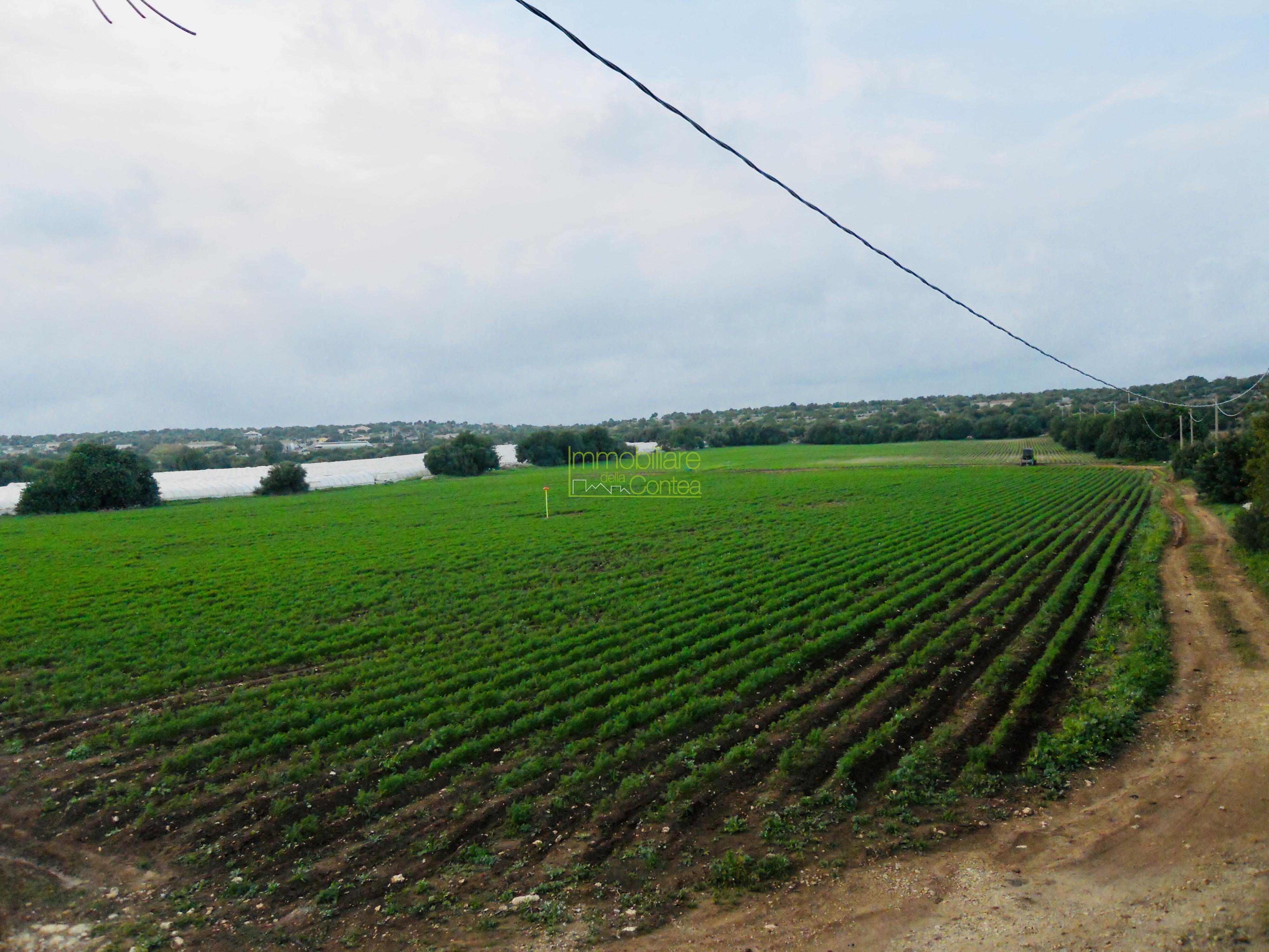 TENUTA AGRICOLA RIF 661 - Immagine# 1