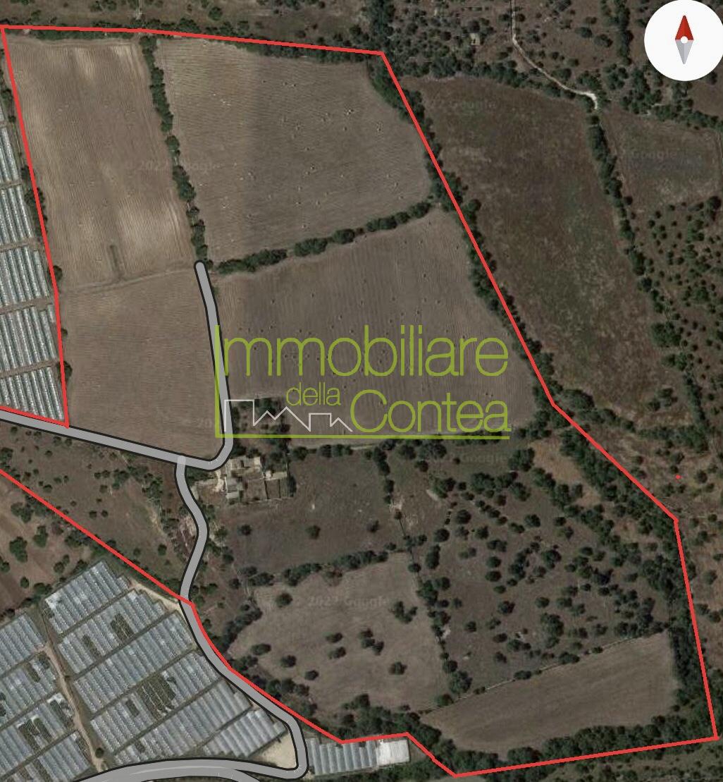 TENUTA AGRICOLA RIF 661 - Immagine# 1