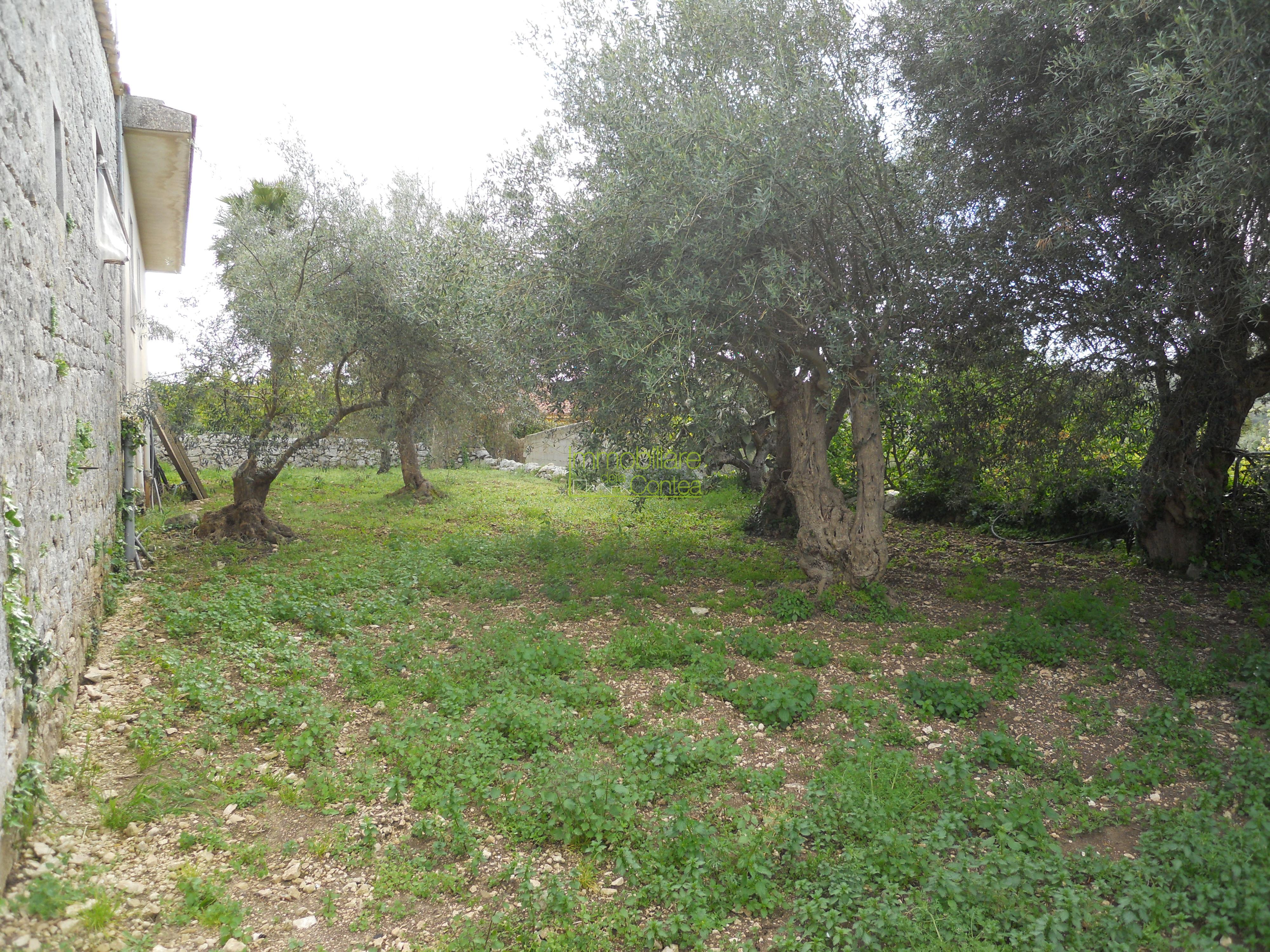 VILLINO DI CAMPAGNA CON ANNESSI RURALI RIF. 674 - Immagine# 1