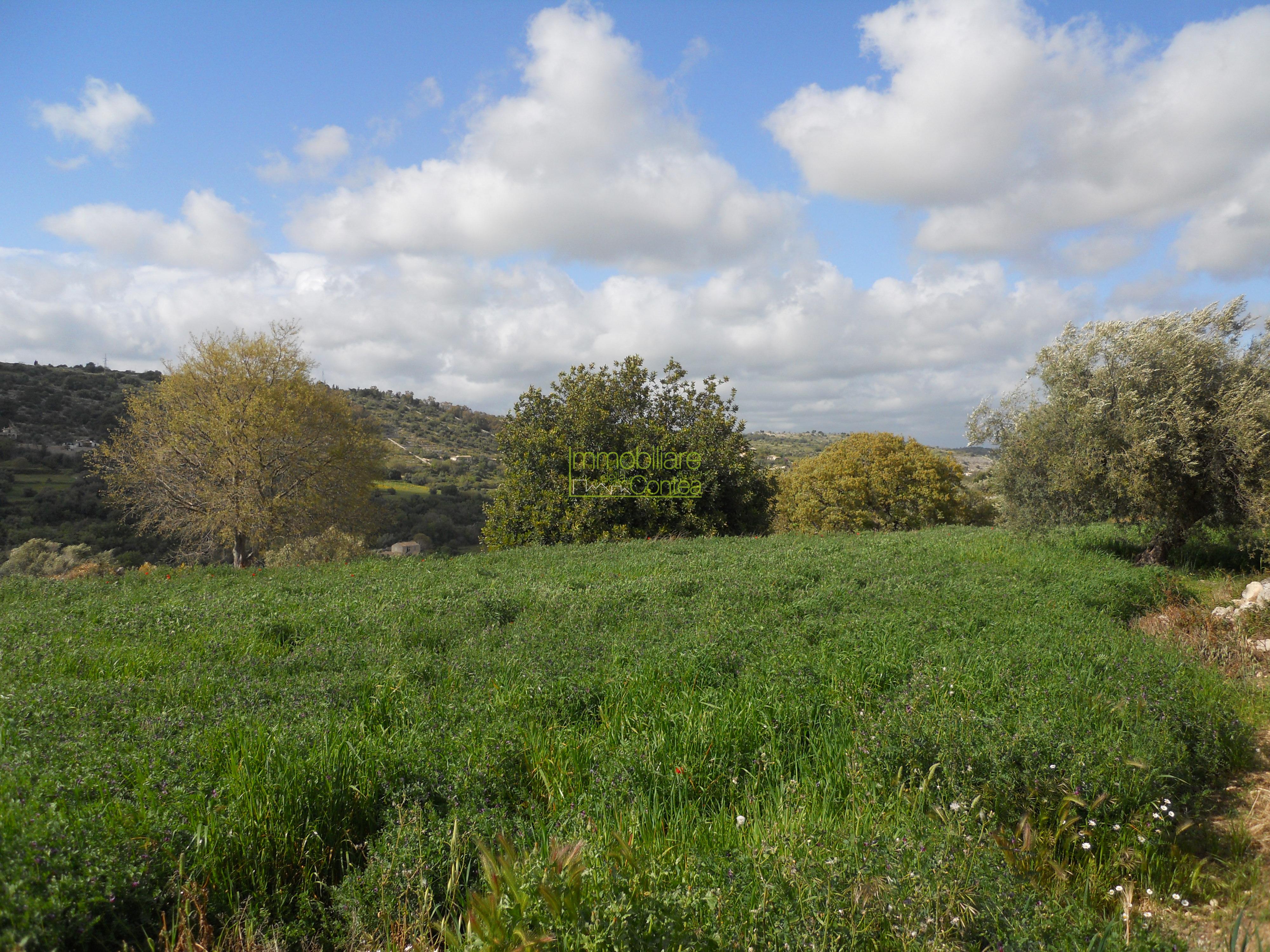 VILLINO DI CAMPAGNA CON ANNESSI RURALI RIF. 674 - Immagine# 1