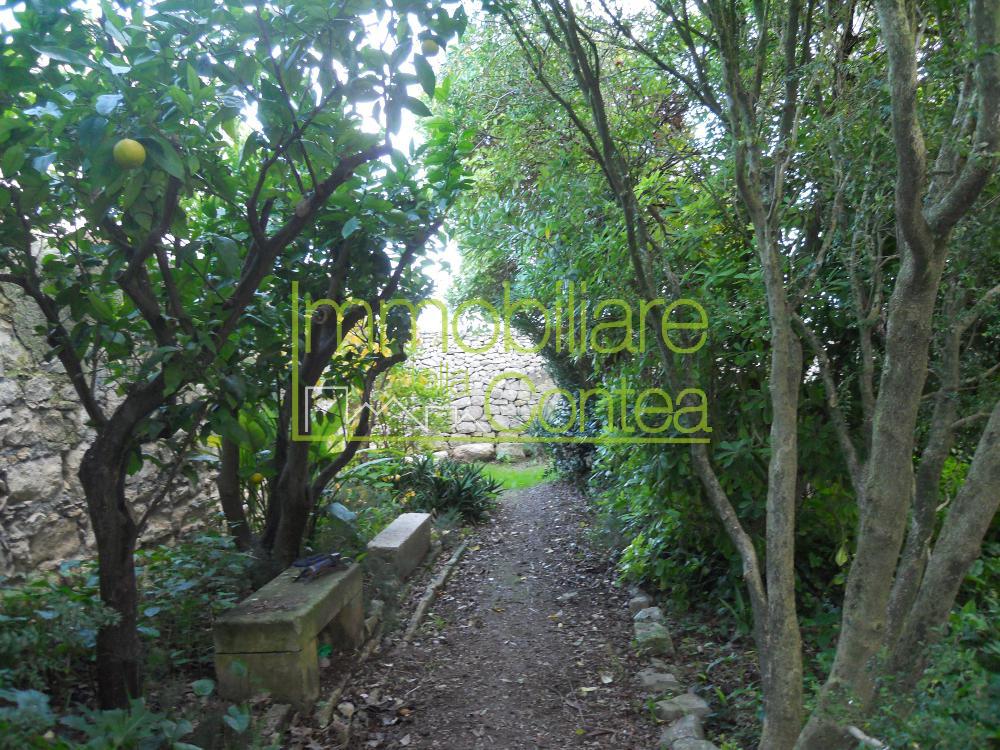 VILLA NOBILIARE RIF 162 - Immagine# 1