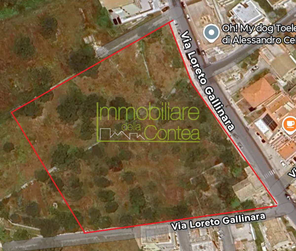 VILLA IN CENTRO CON 7000 MQ DI TERRENO - Immagine# 1