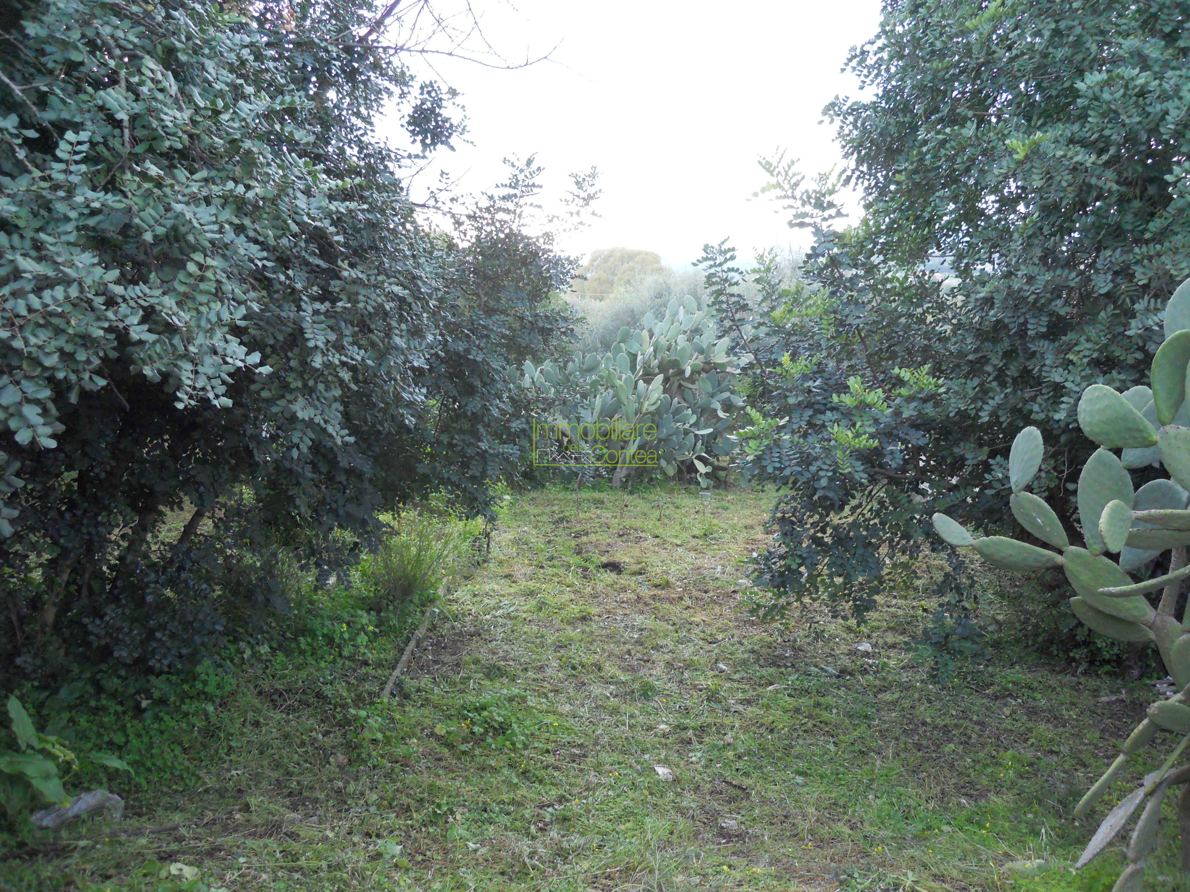VILLA IN CENTRO CON 7000 MQ DI TERRENO - Immagine# 1