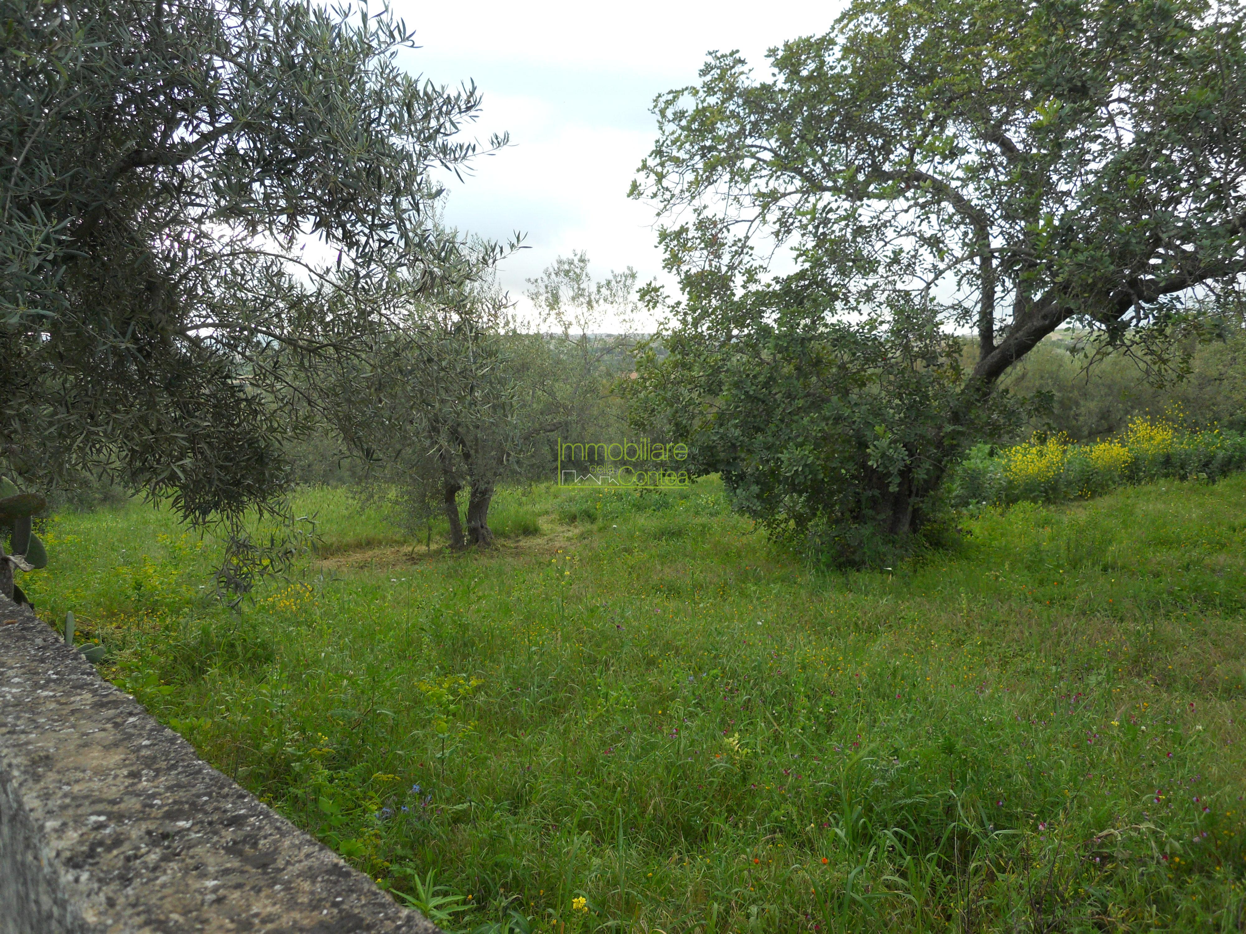 VILLA IN CENTRO CON 7000 MQ DI TERRENO - Immagine# 1