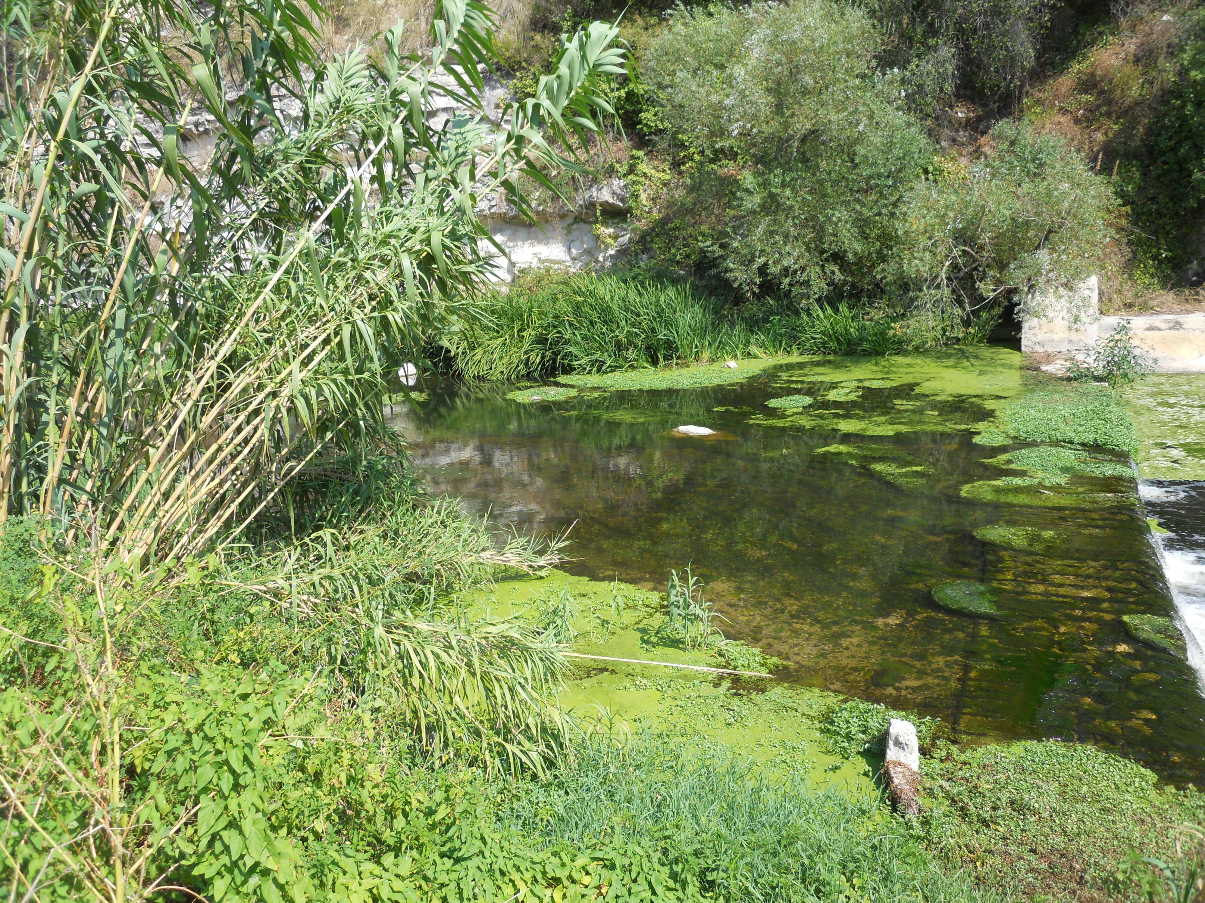 CASA RURALE IMMERSA NEL VERDE - Immagine# 7