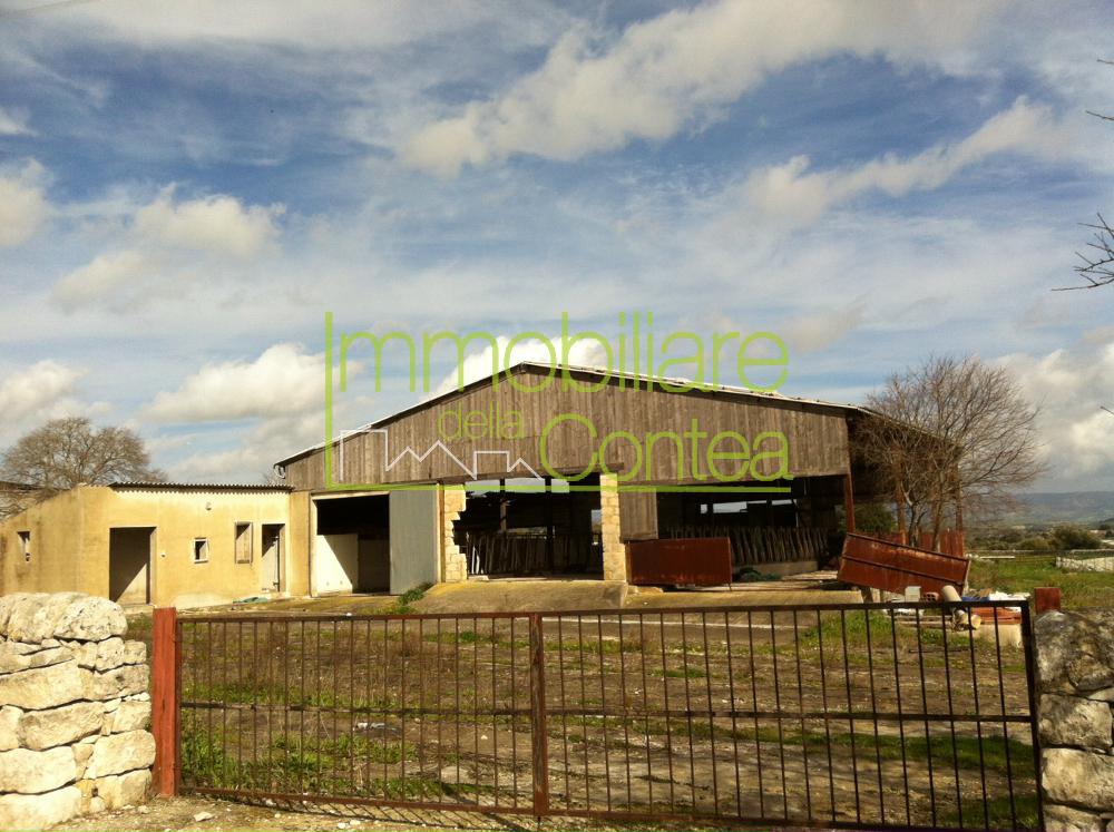 GRANDE CASOLARE IN CAMPAGNA RIF 203  - Immagine# 1