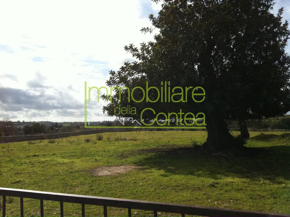 GRANDE CASOLARE IN CAMPAGNA RIF 203  - Immagine# 1